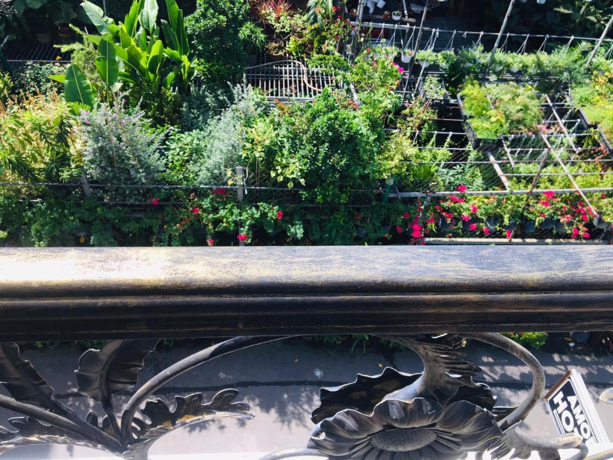 Amor Hotel Ho Şi Min Dış mekan fotoğraf